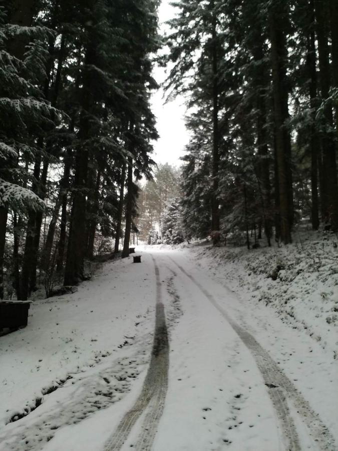 Domek Na Gorce Bieszczady Lesko Esterno foto